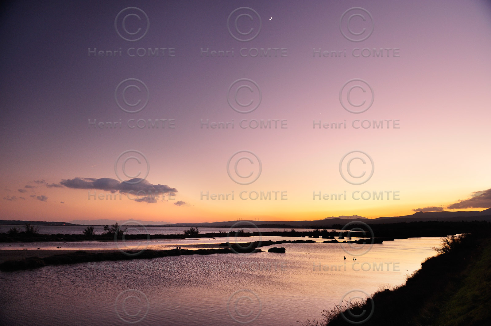 Etang de La Palme