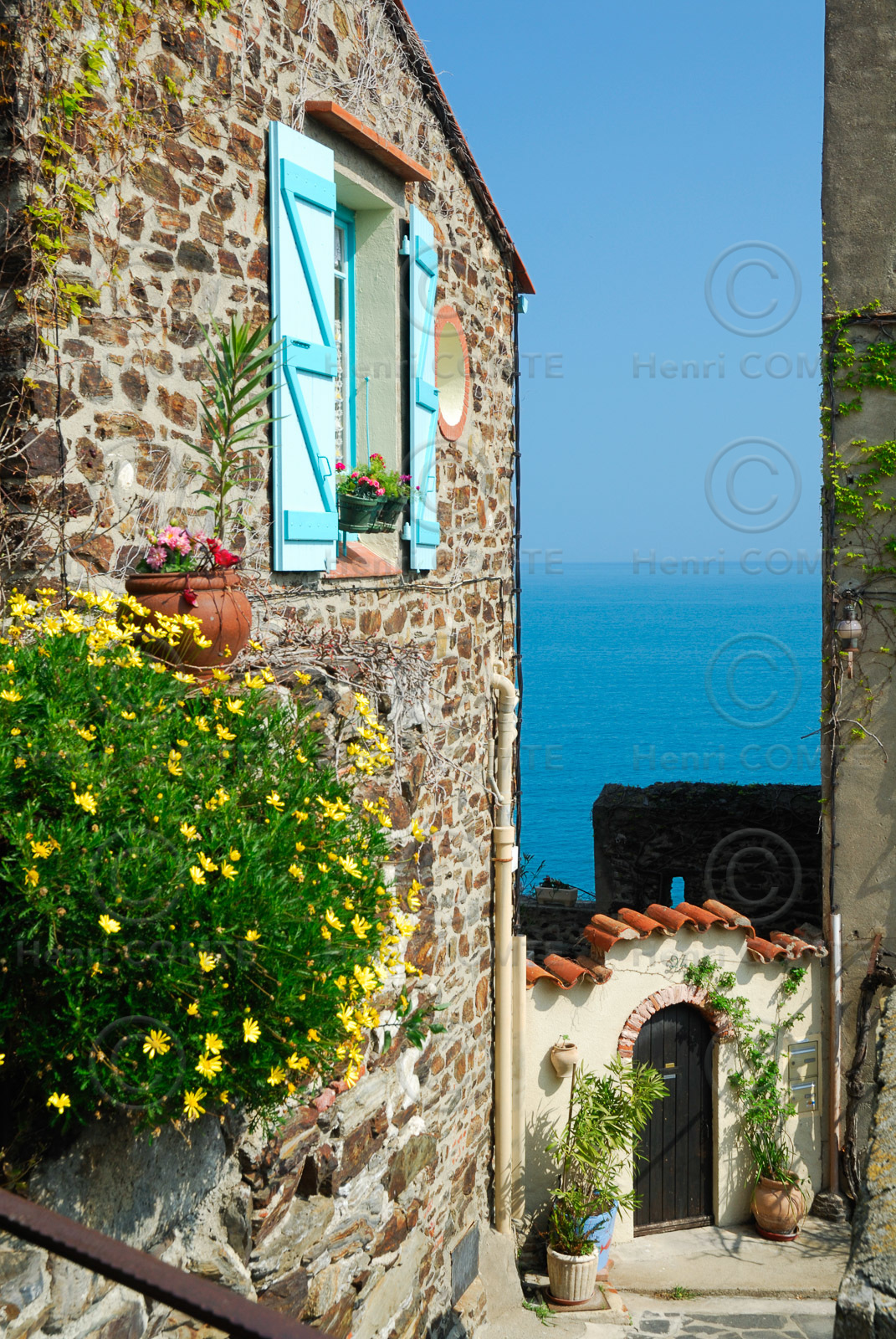 Collioure