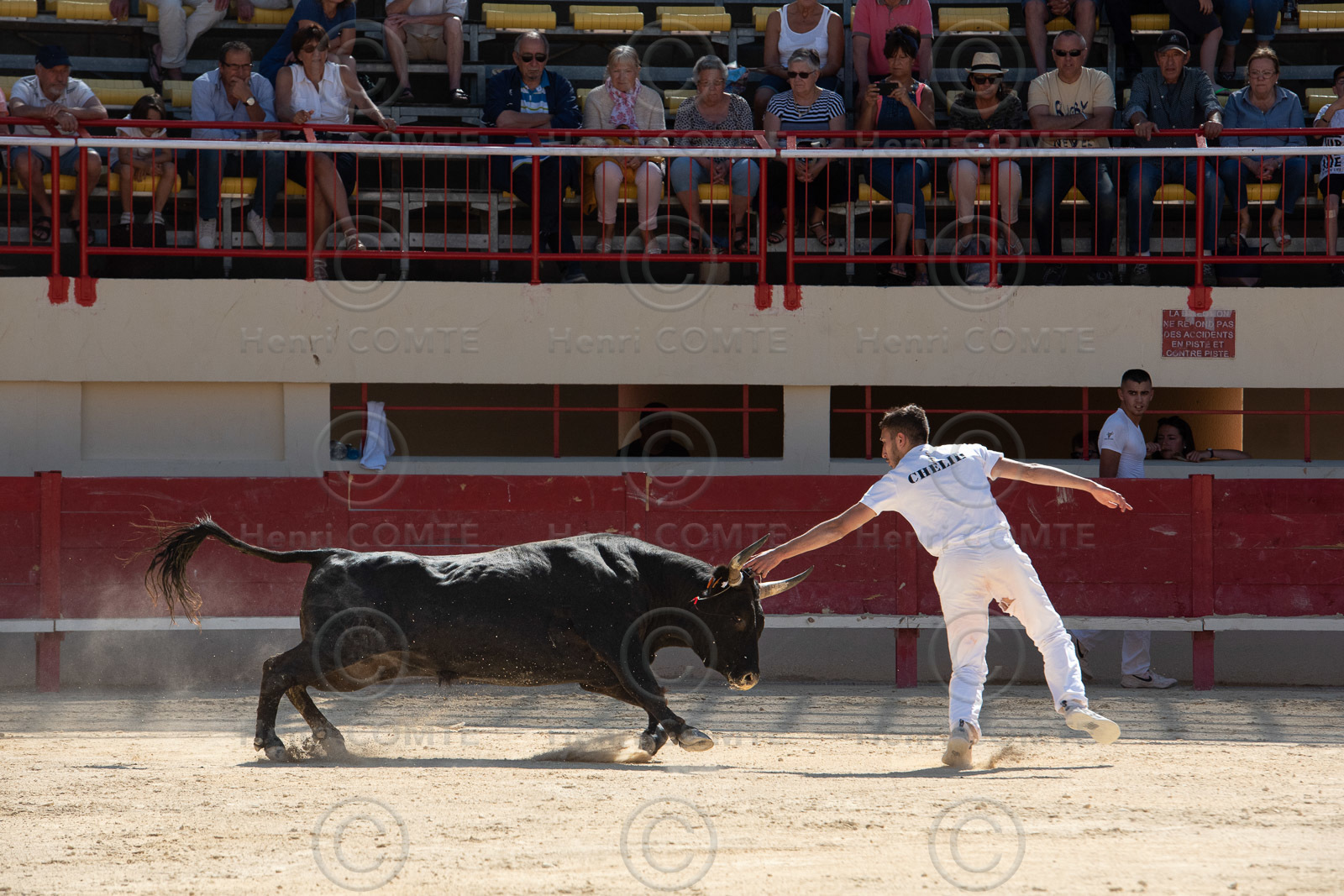 Course camarguaise