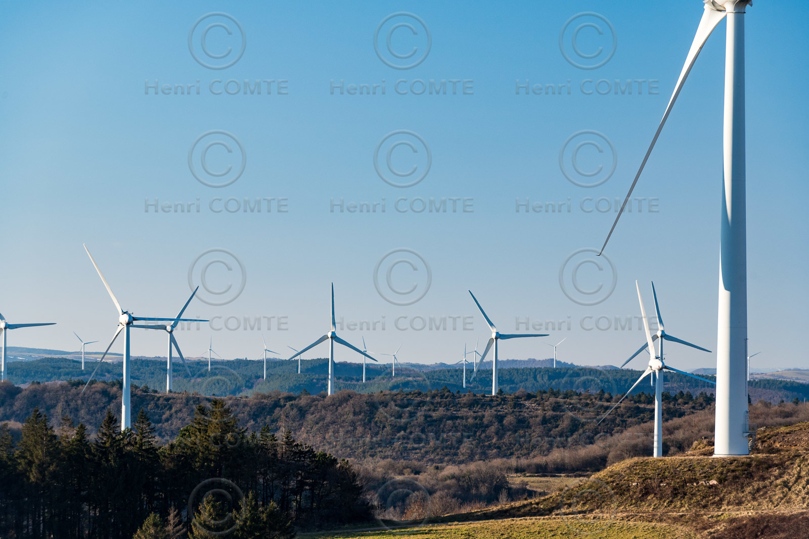 Eoliennes Lunas