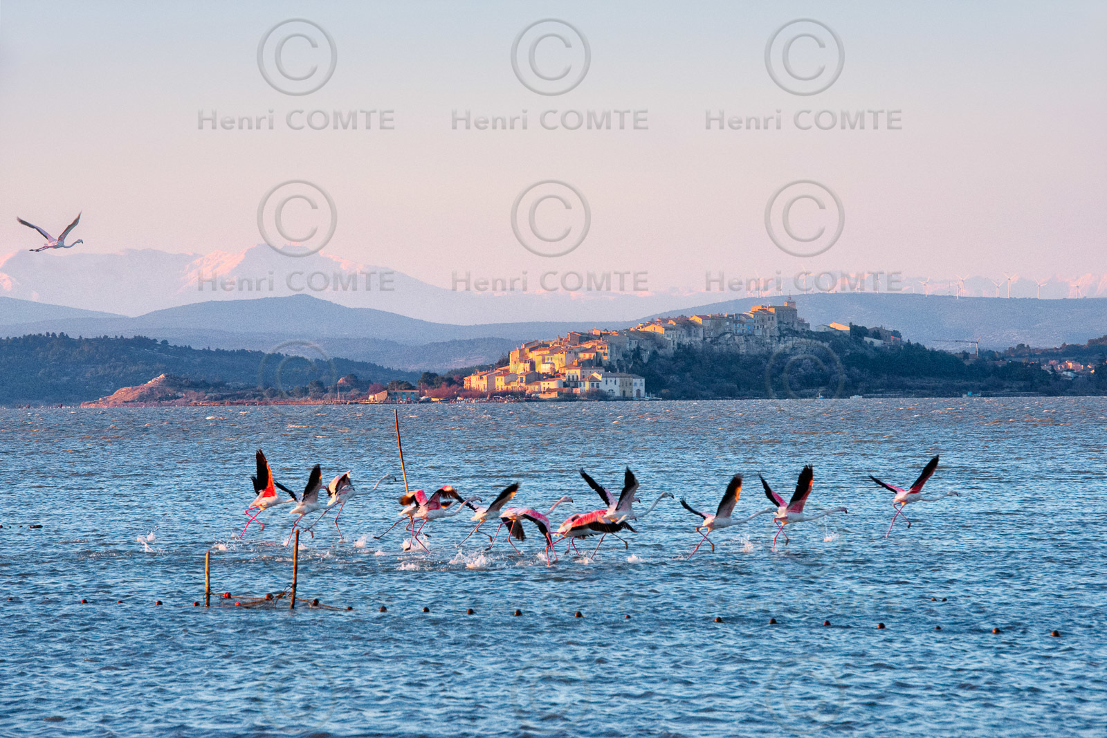 Etang de Bages