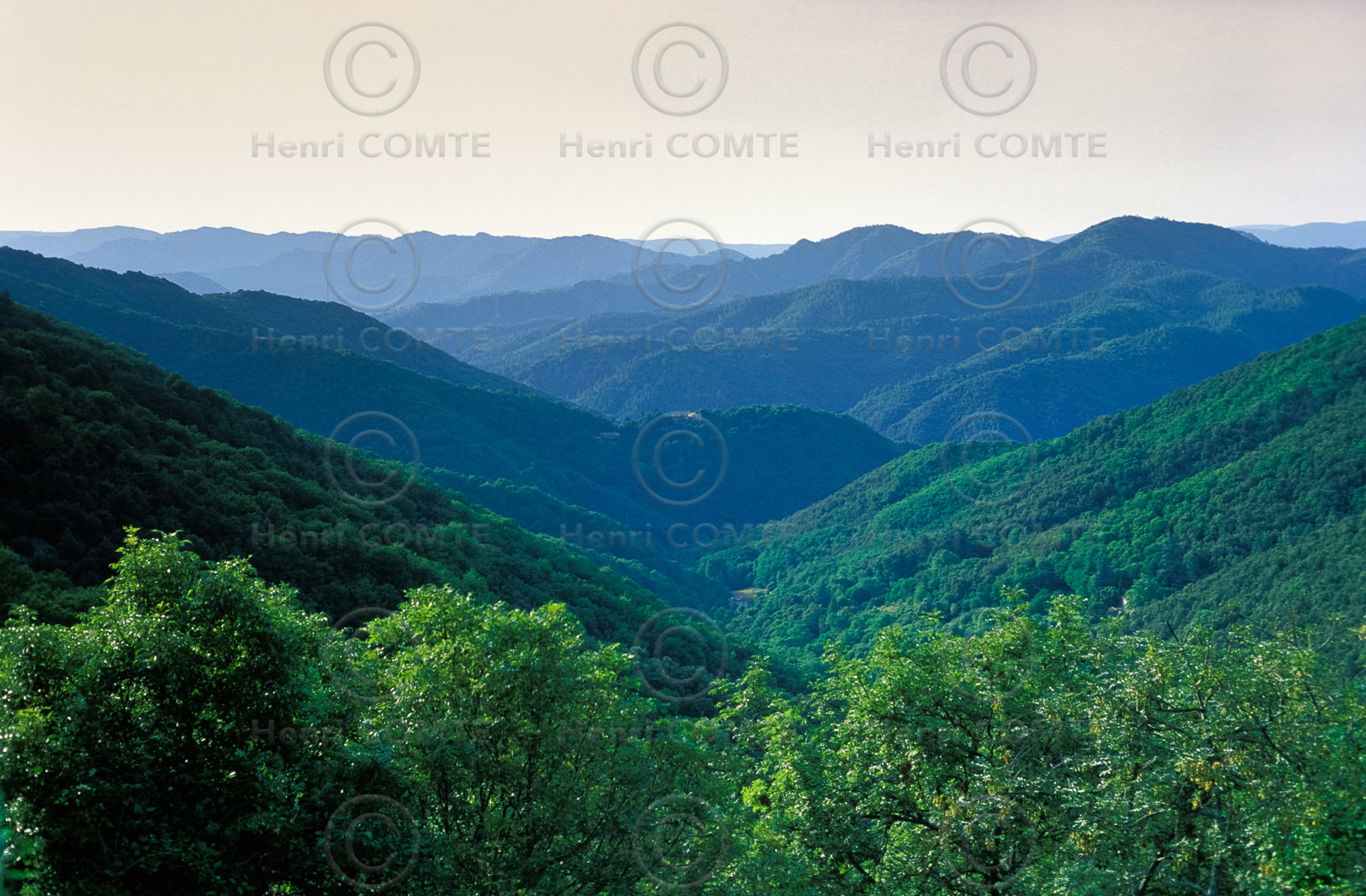 Col du Mercou