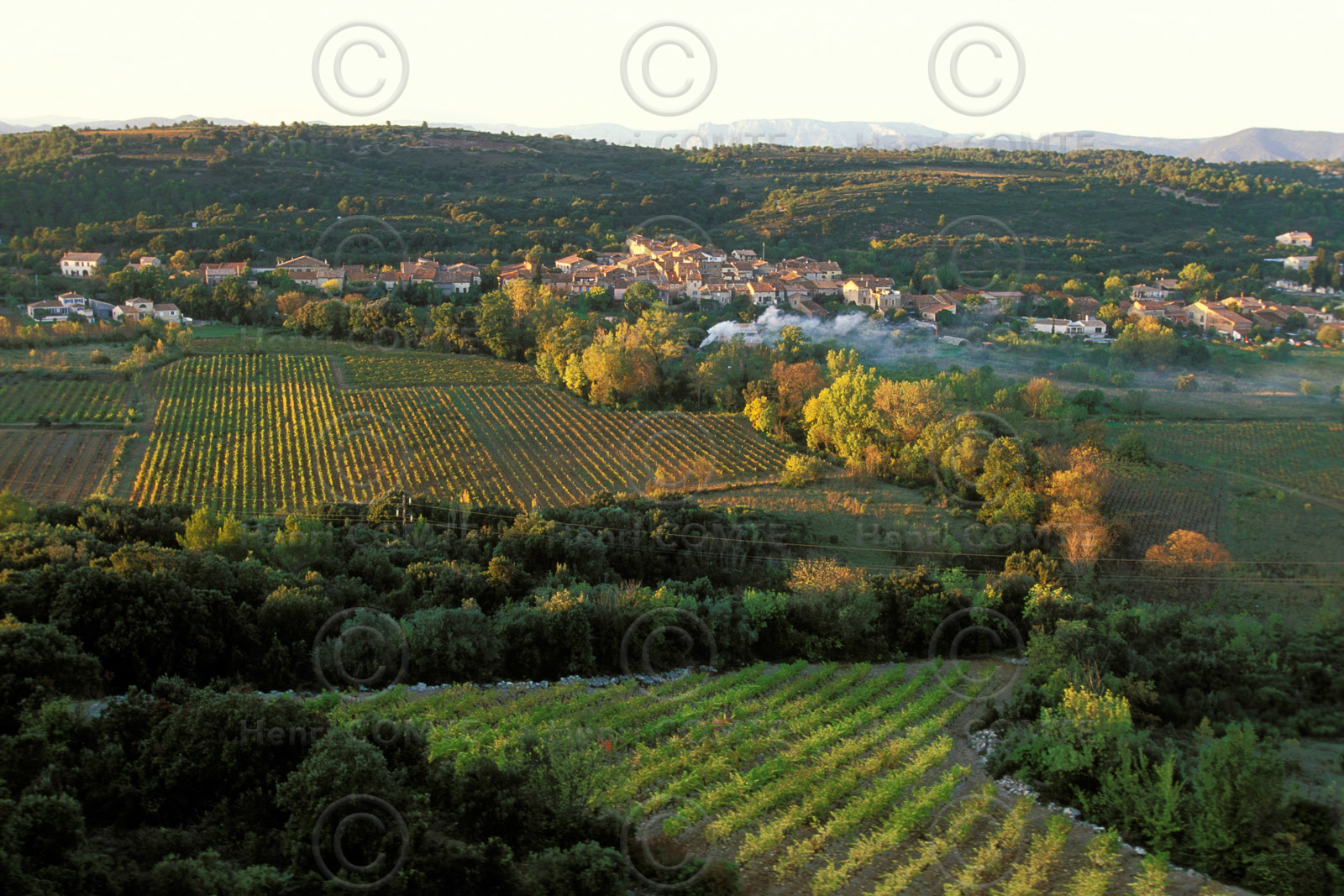 Vignoble Saint Chinian