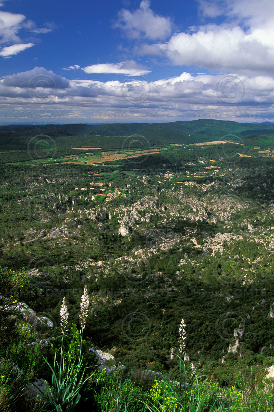 Cirque de Moureze