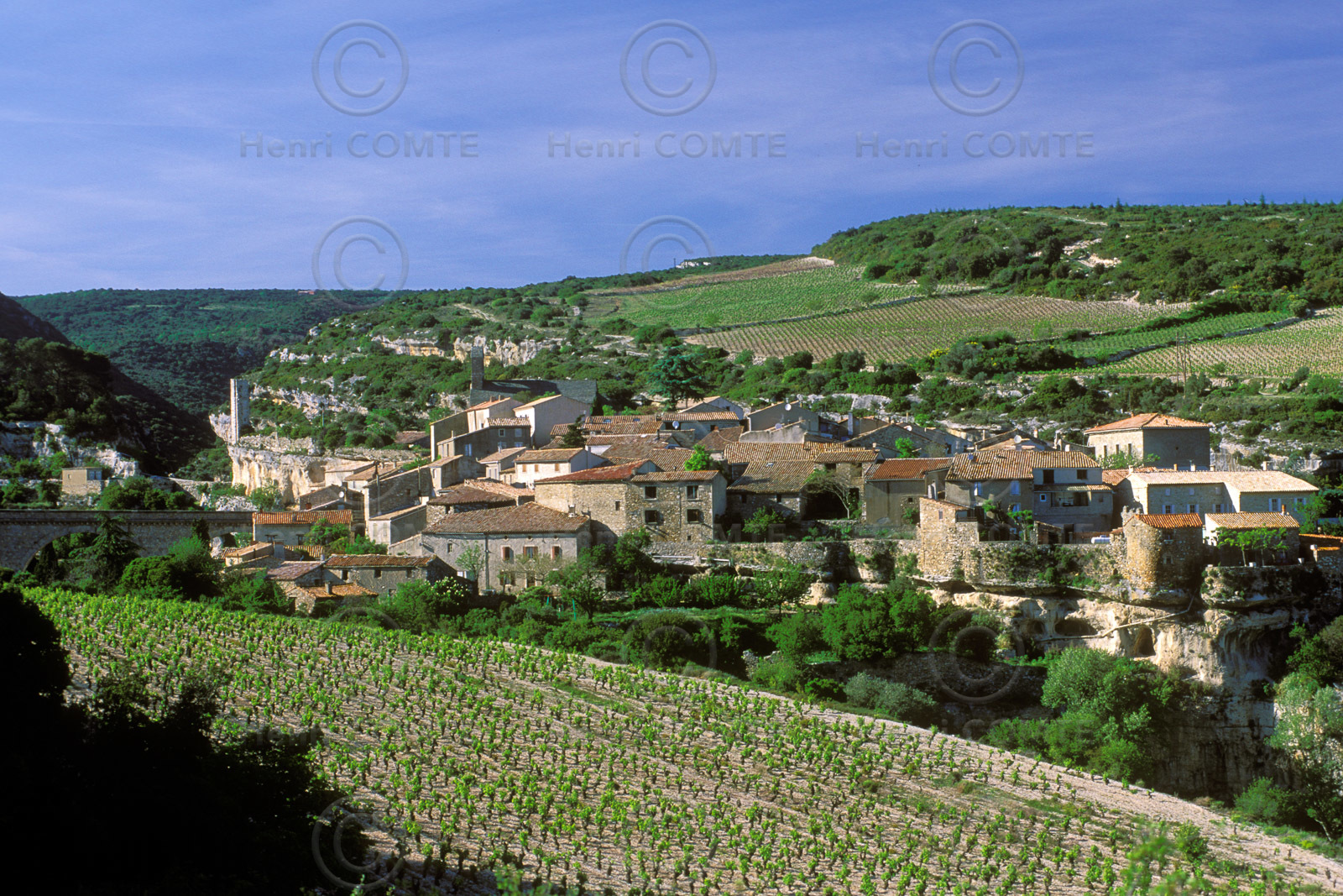 Minerve