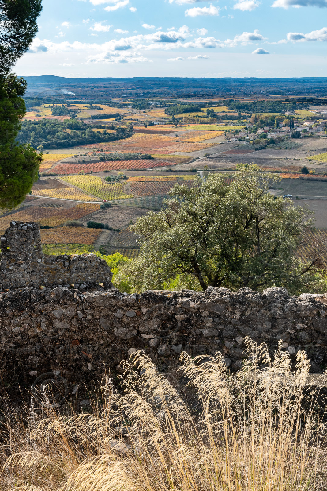 Montpeyroux