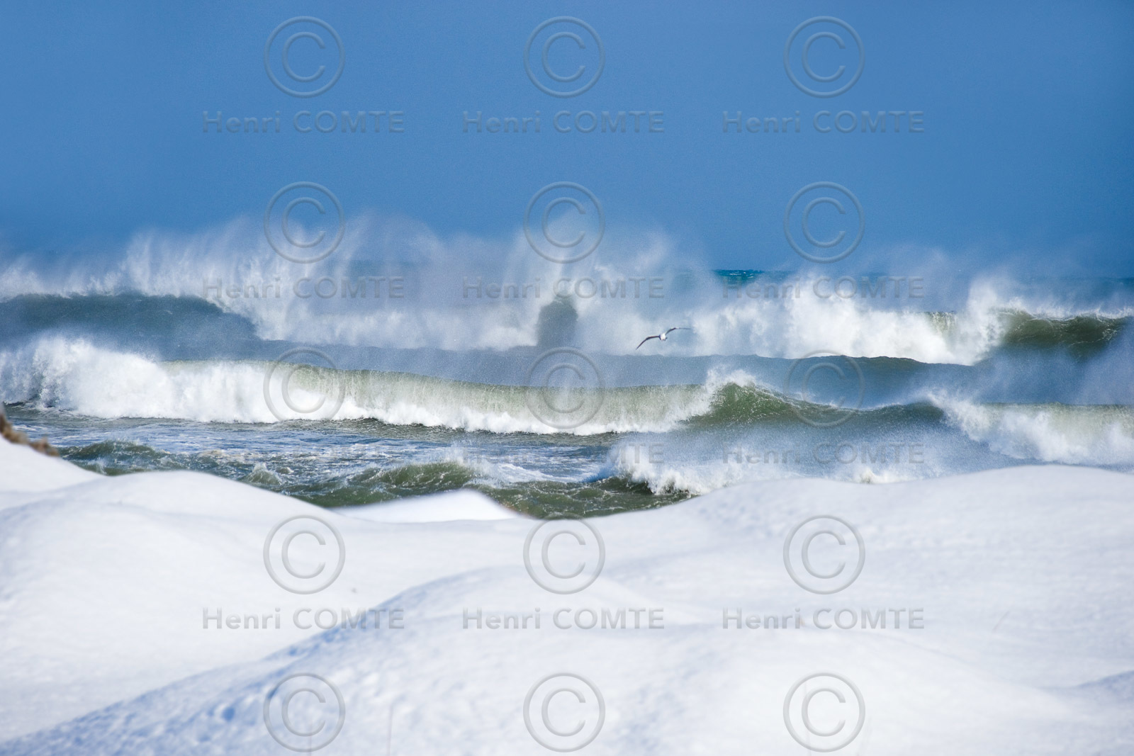 Plage de Toreilles