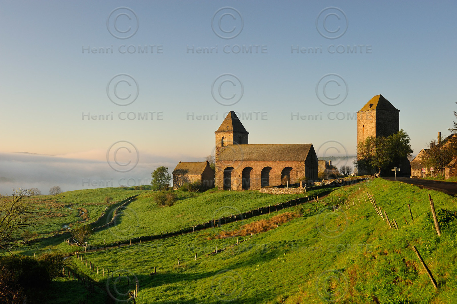 Aubrac