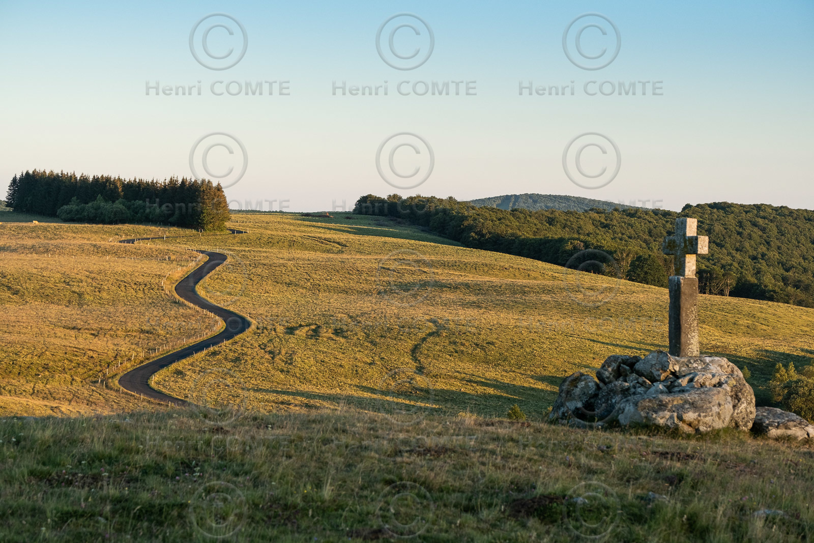 Aubrac