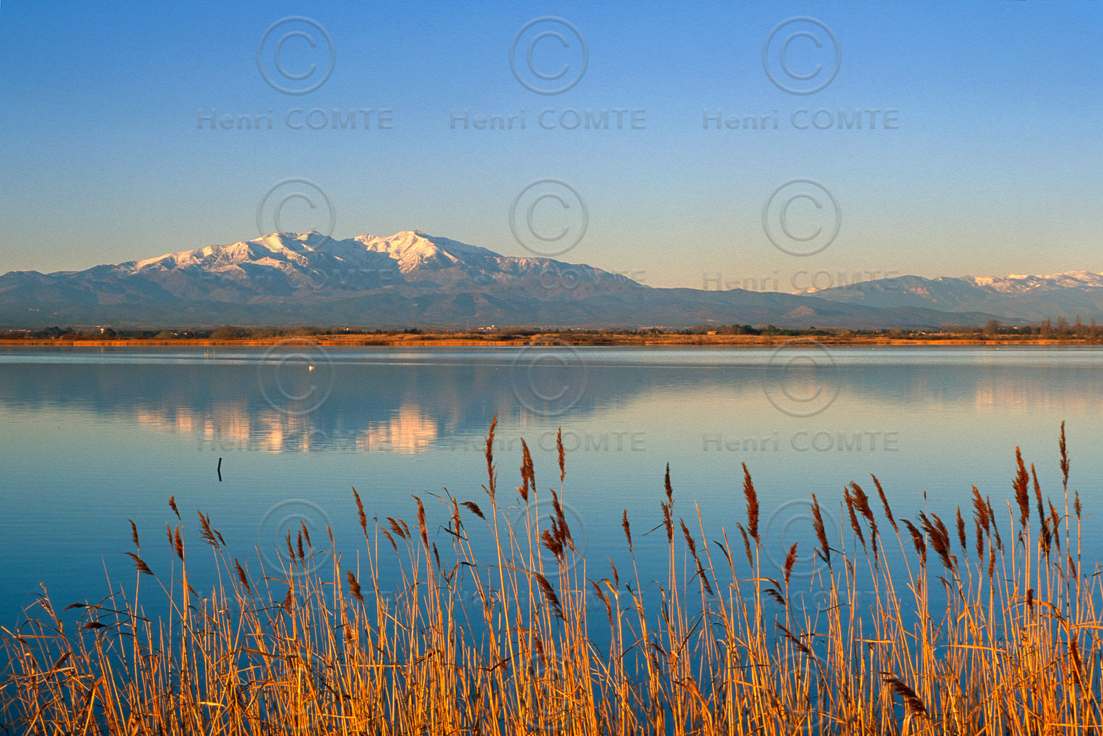 Etang de Canet