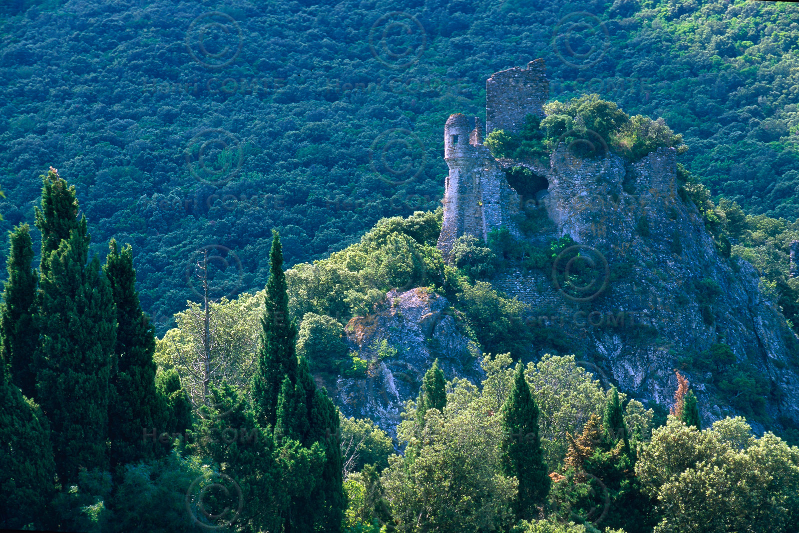 Chateau cathare