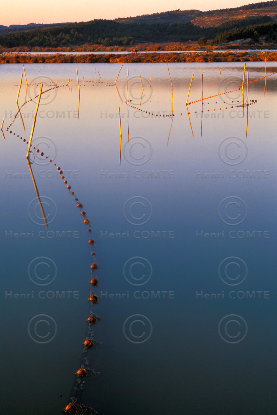Etang et filets