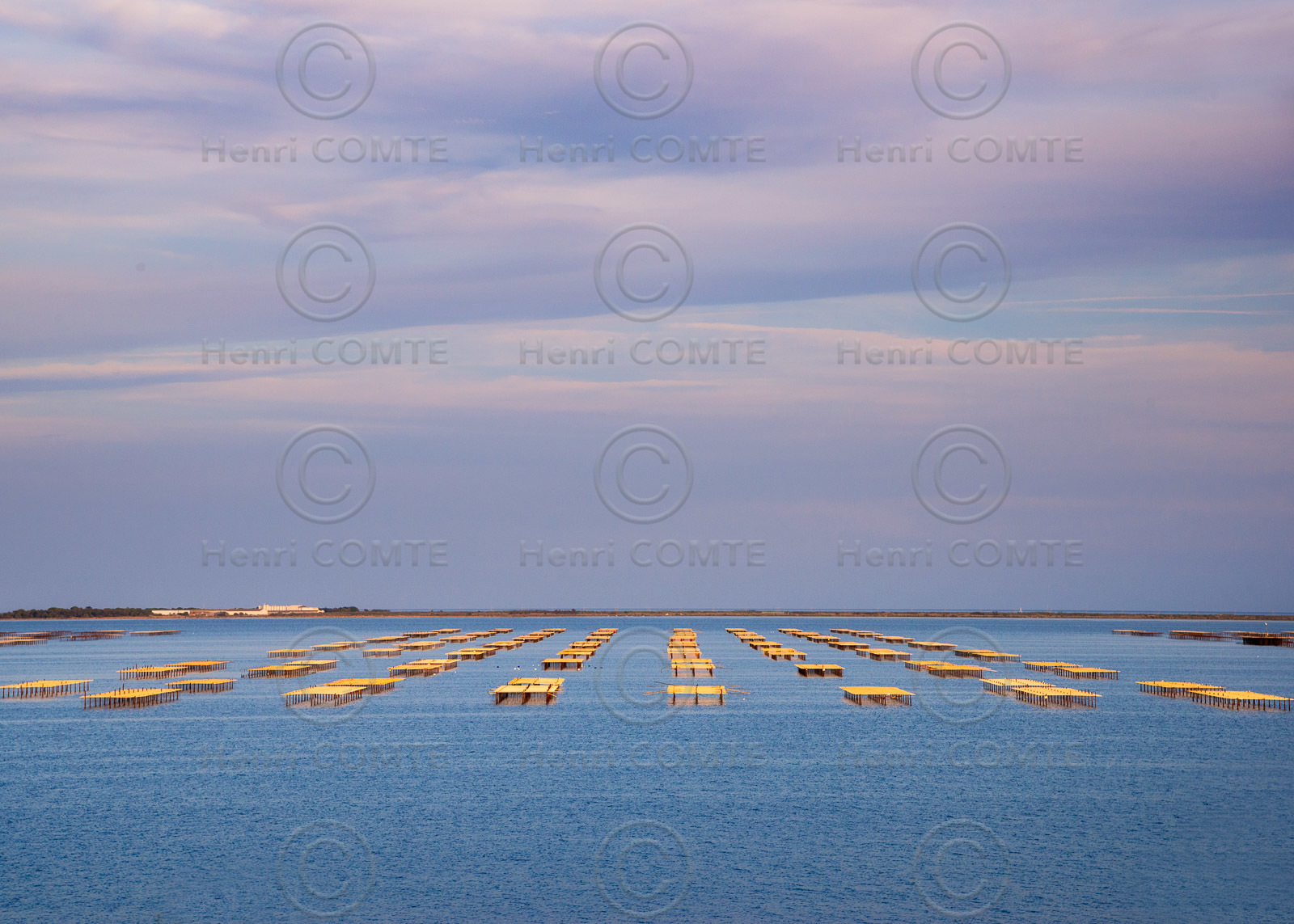 Etang de Thau