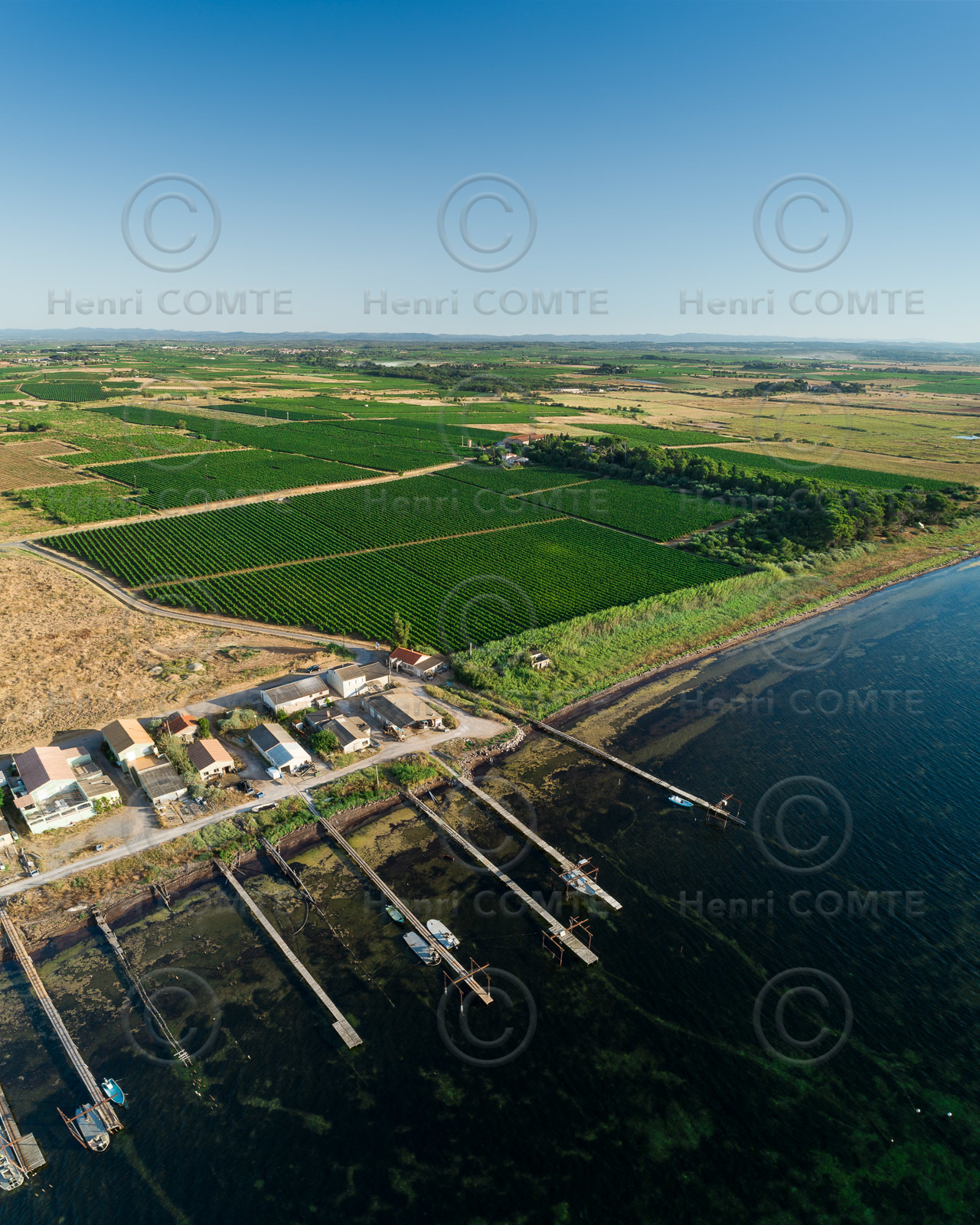 Etang de thau