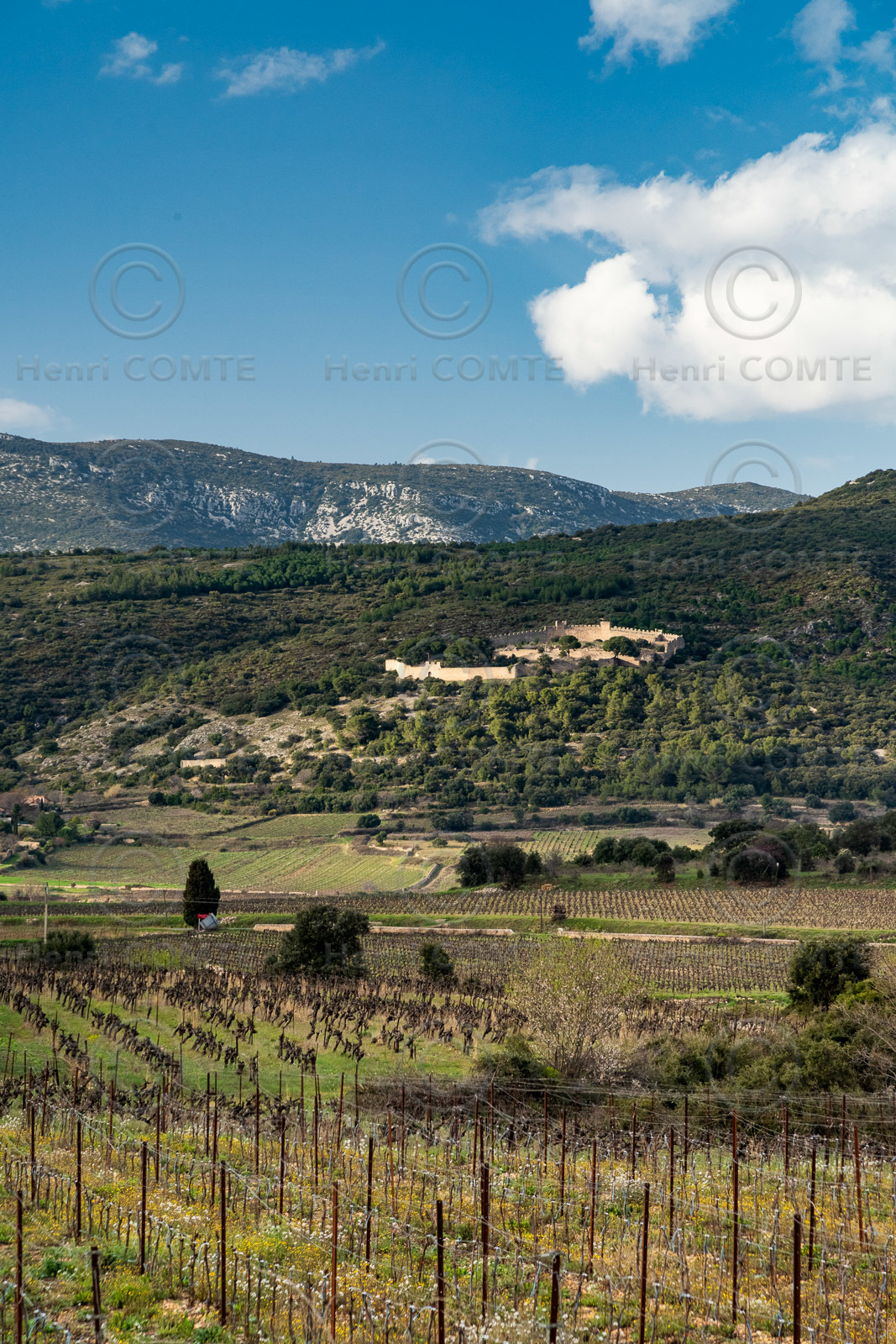 Montpeyroux
