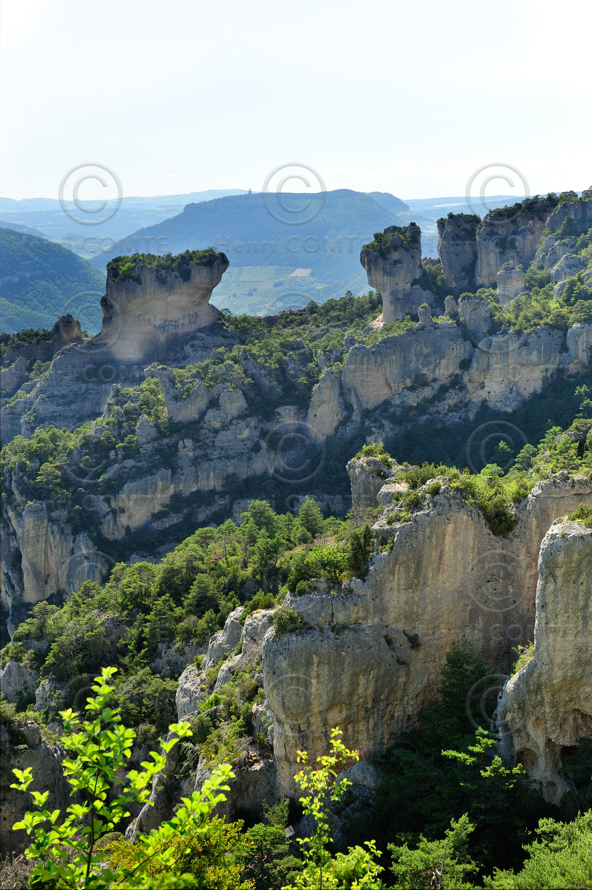 Gorges de la Jonte