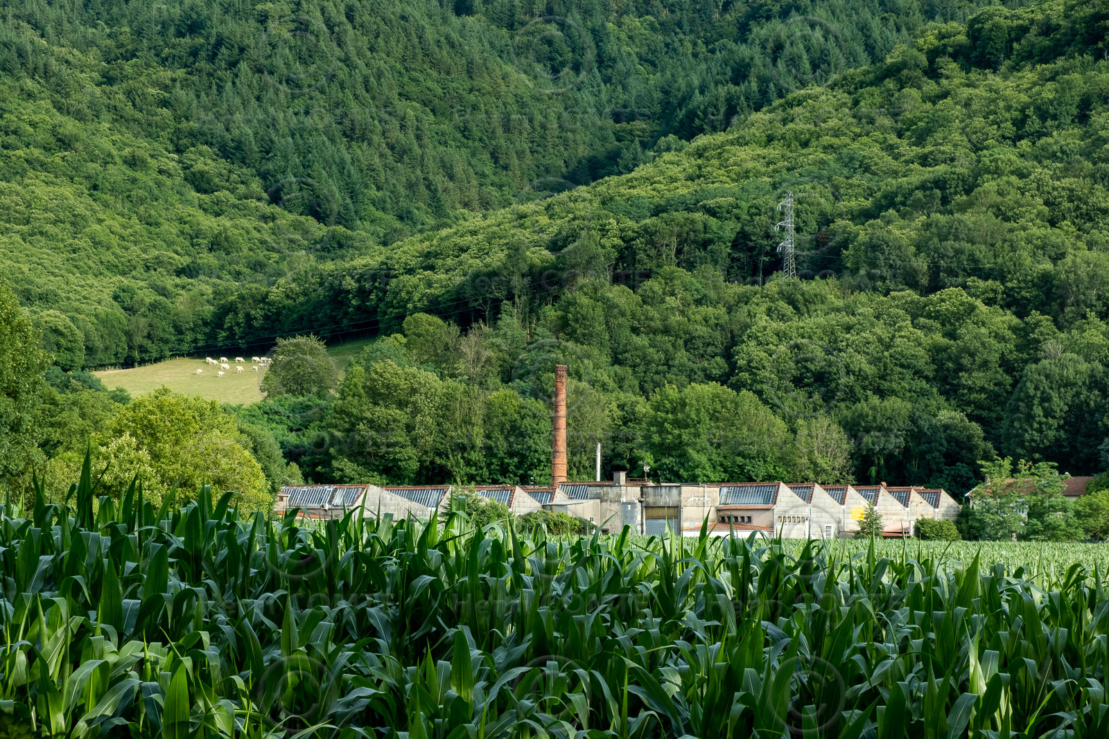Ancienne usine à Mazamet
