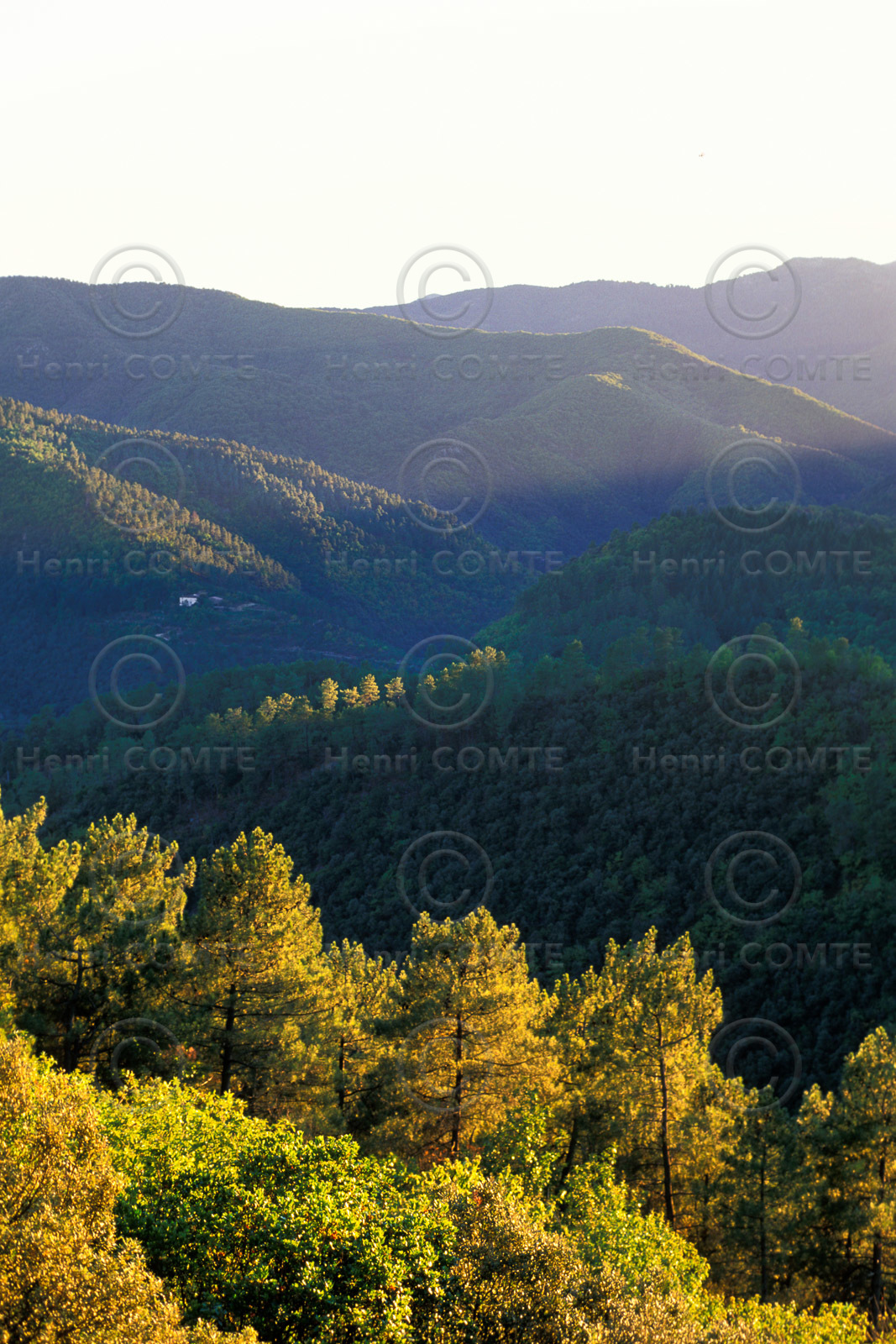 Cévennes