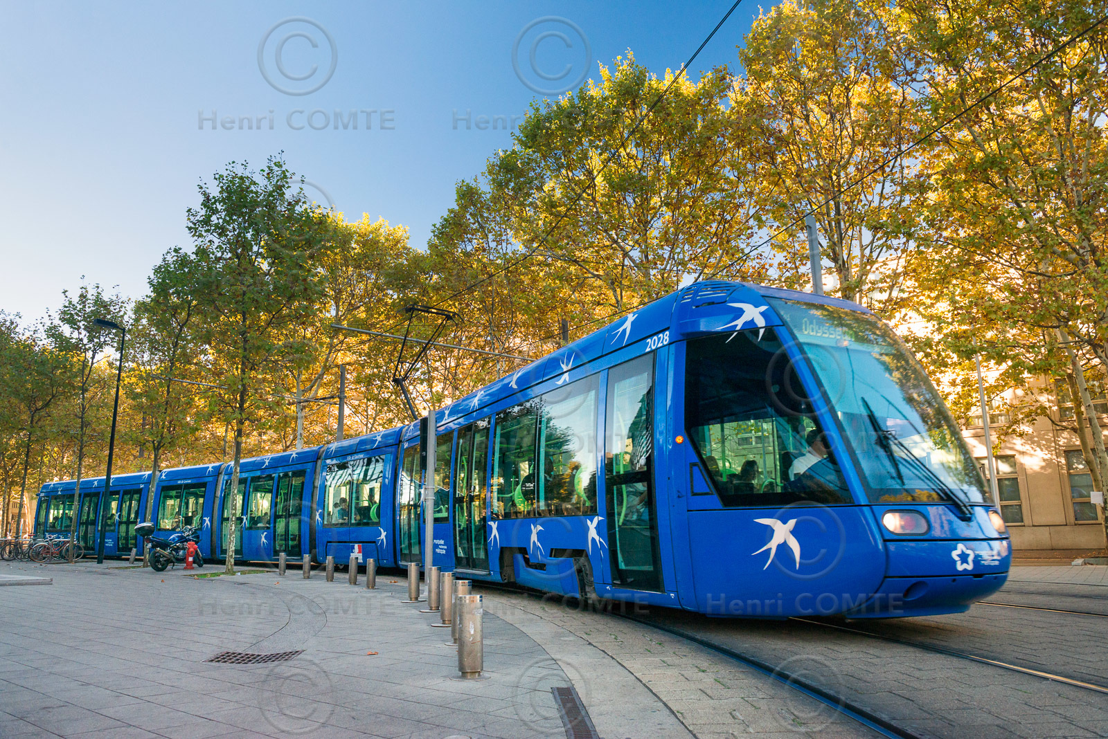 Tramway Montpellier