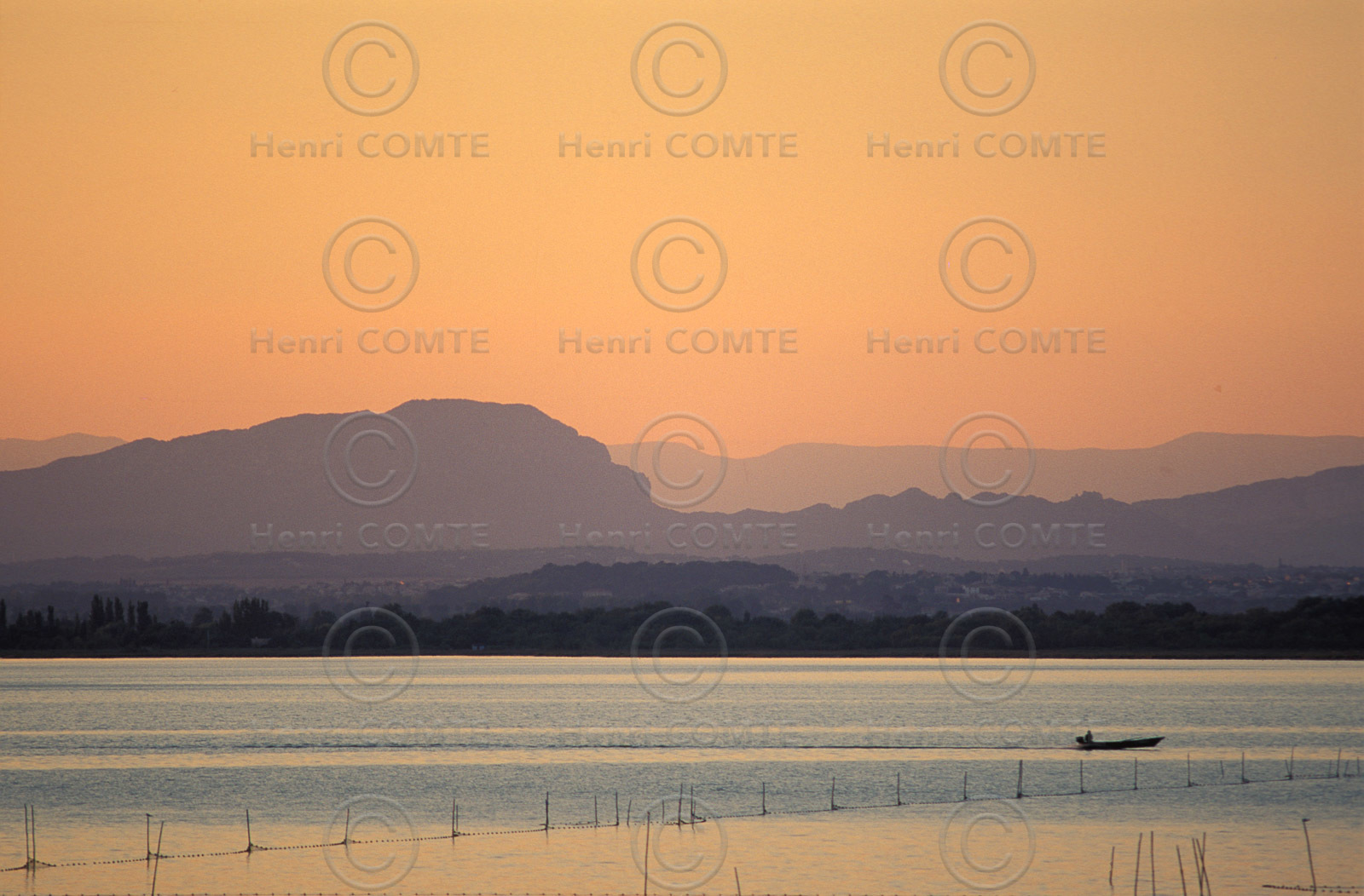 Etang de l'Or