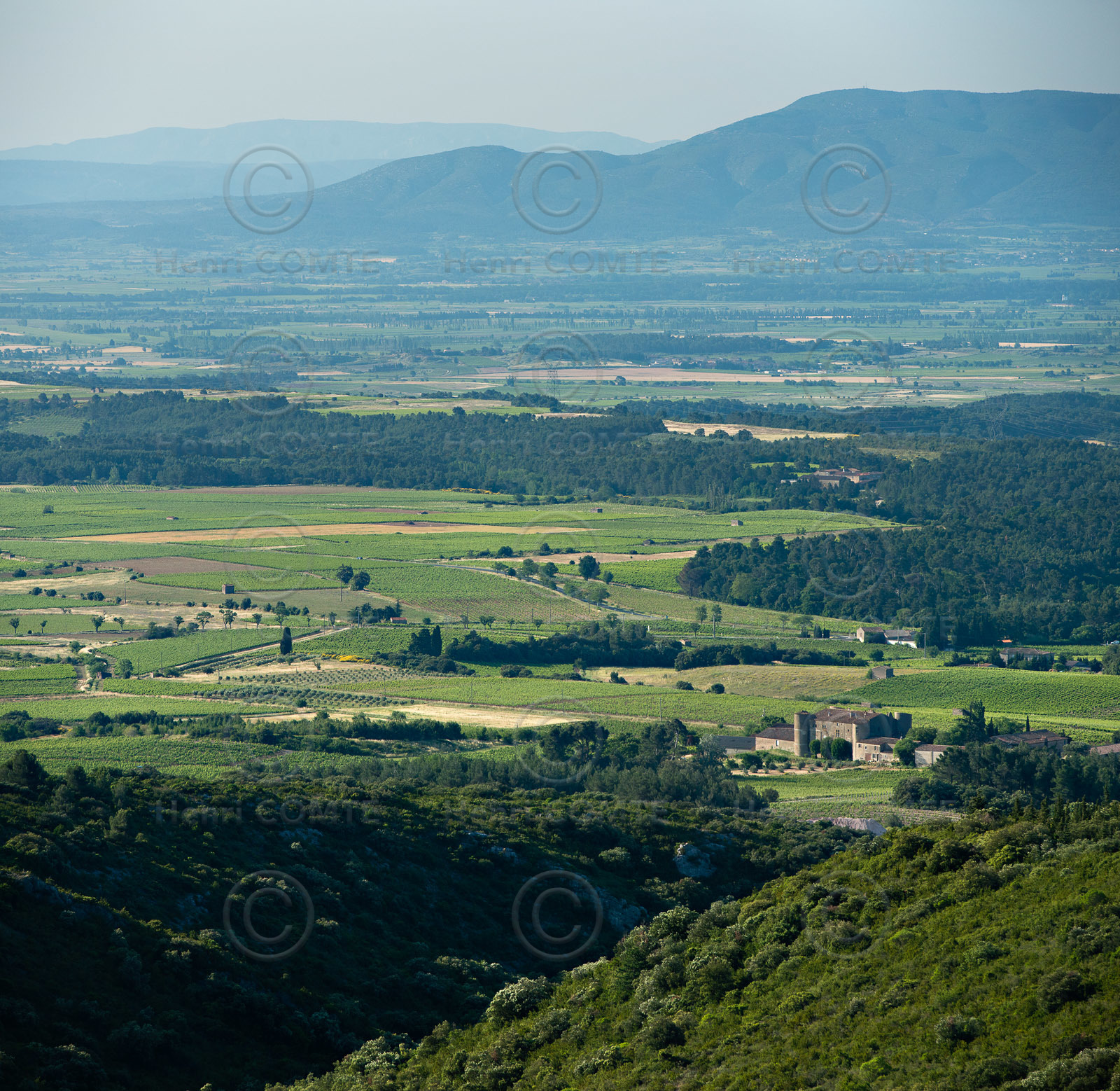 Haut-Minervois
