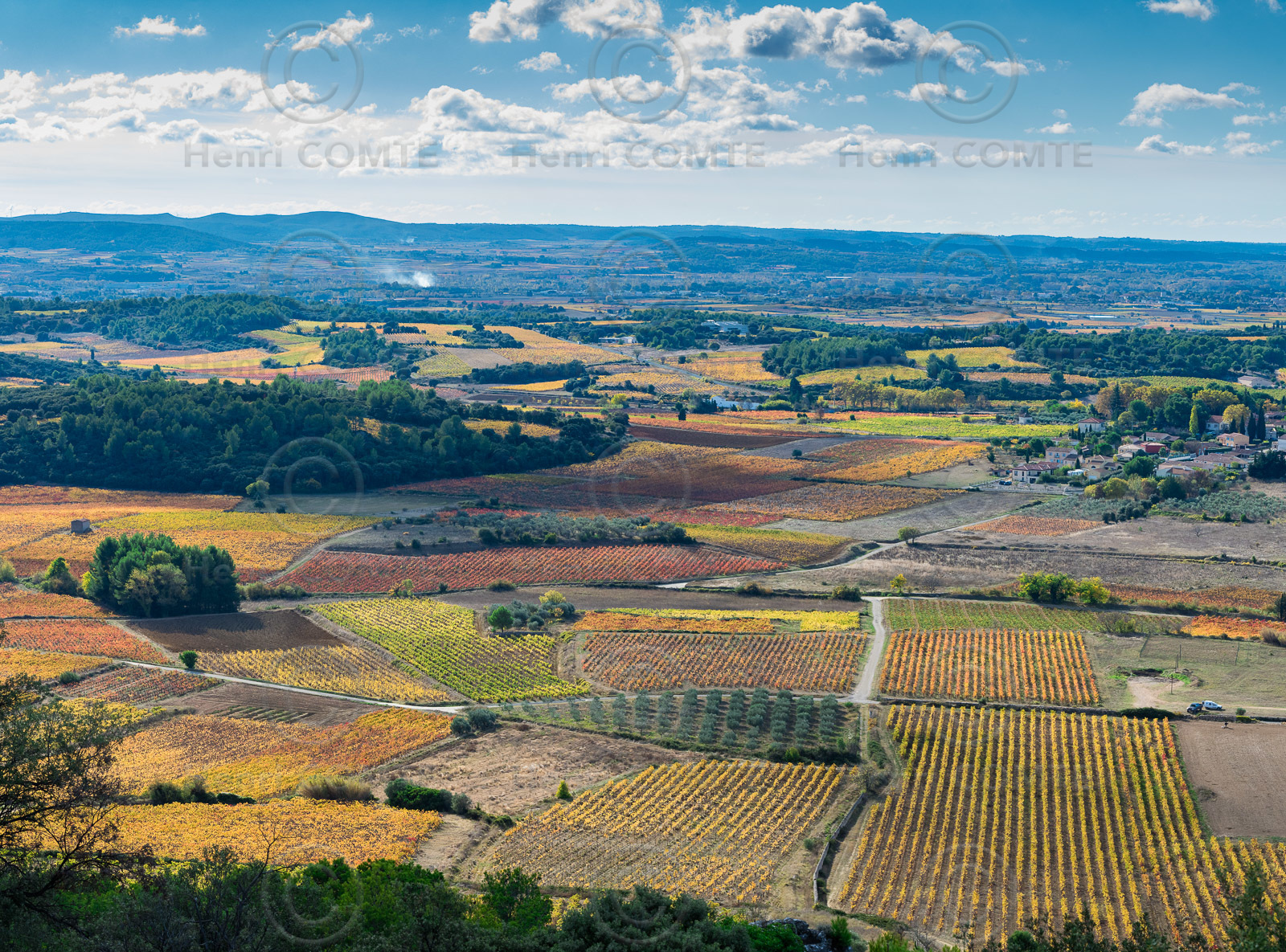 Vignoble de Montpeyroux