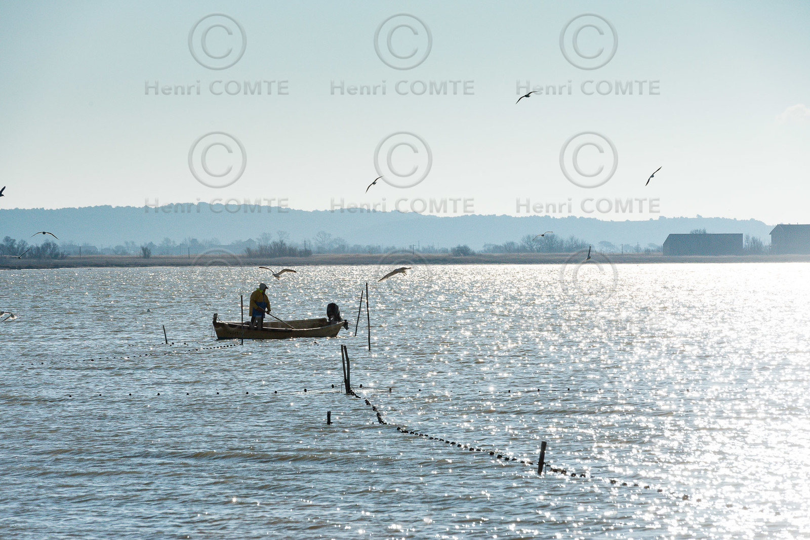 Etang de Bages