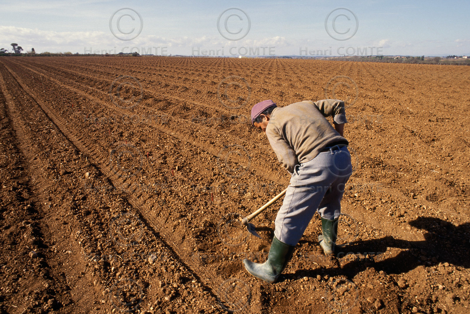 Ouvrier agricole