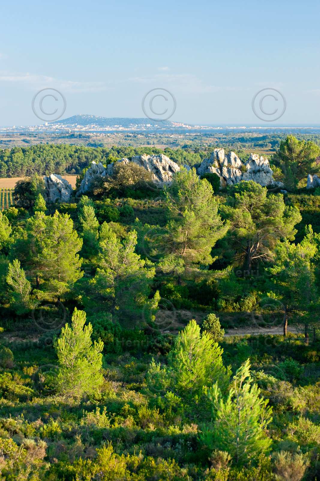 Pays de Thau