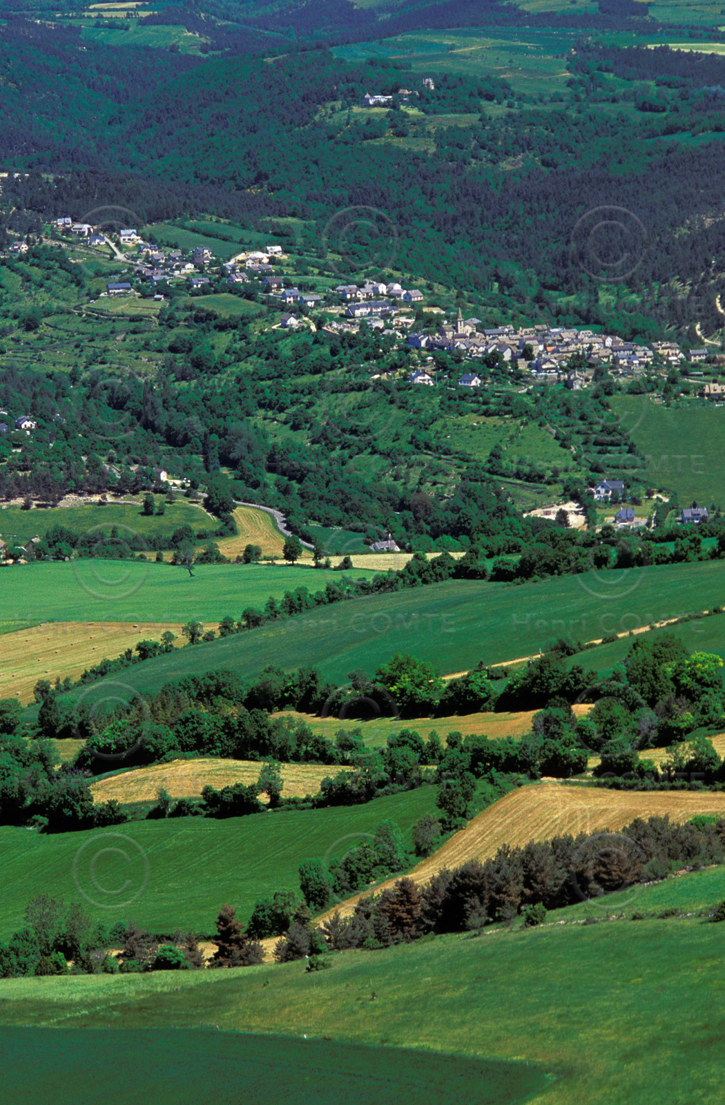 Causse- Lozère