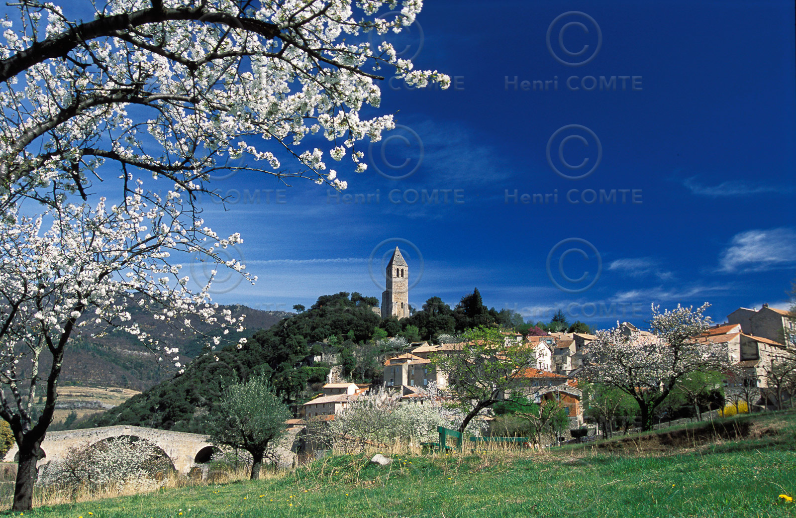 Olargues