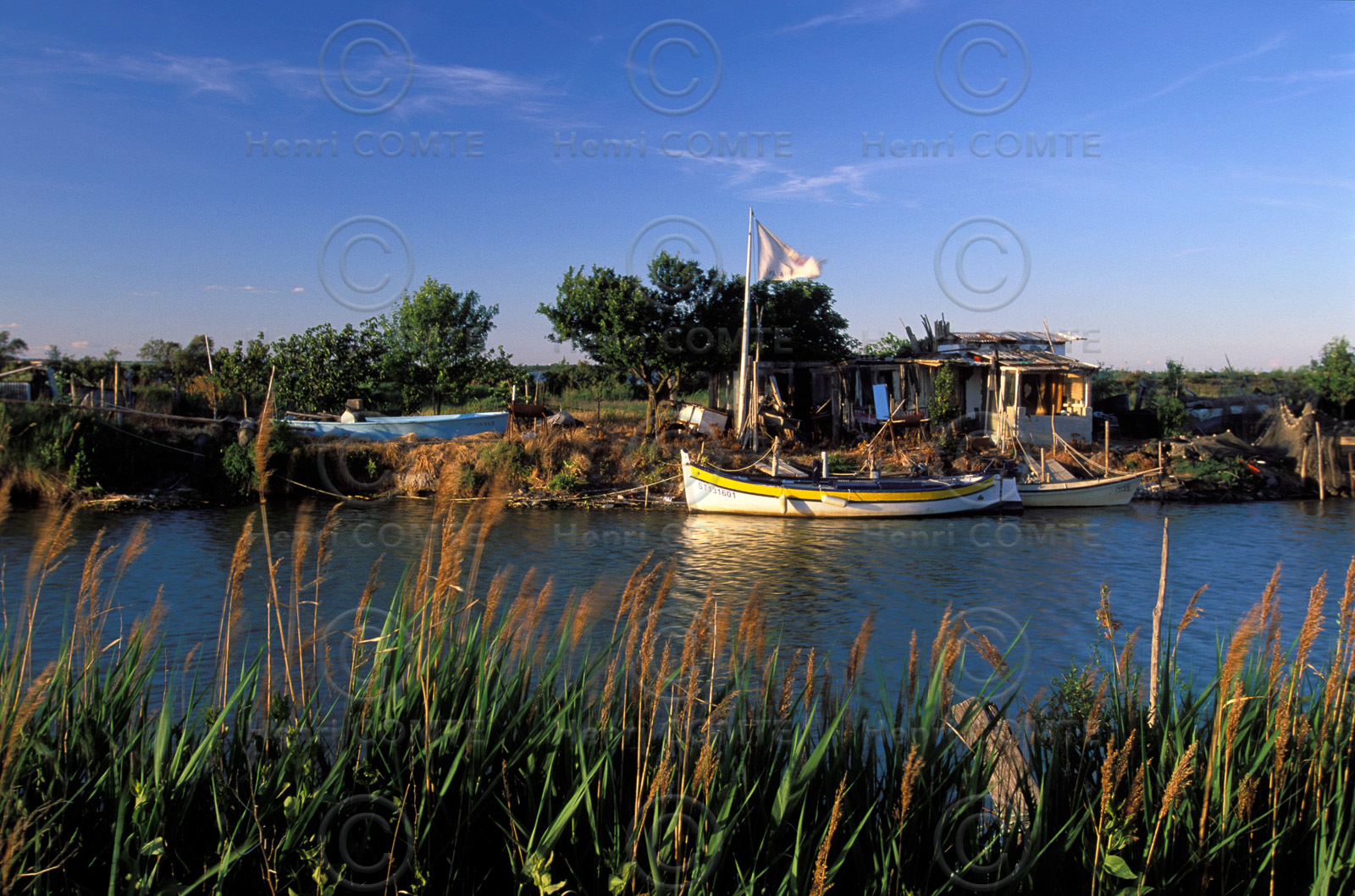 Les rives du Lez