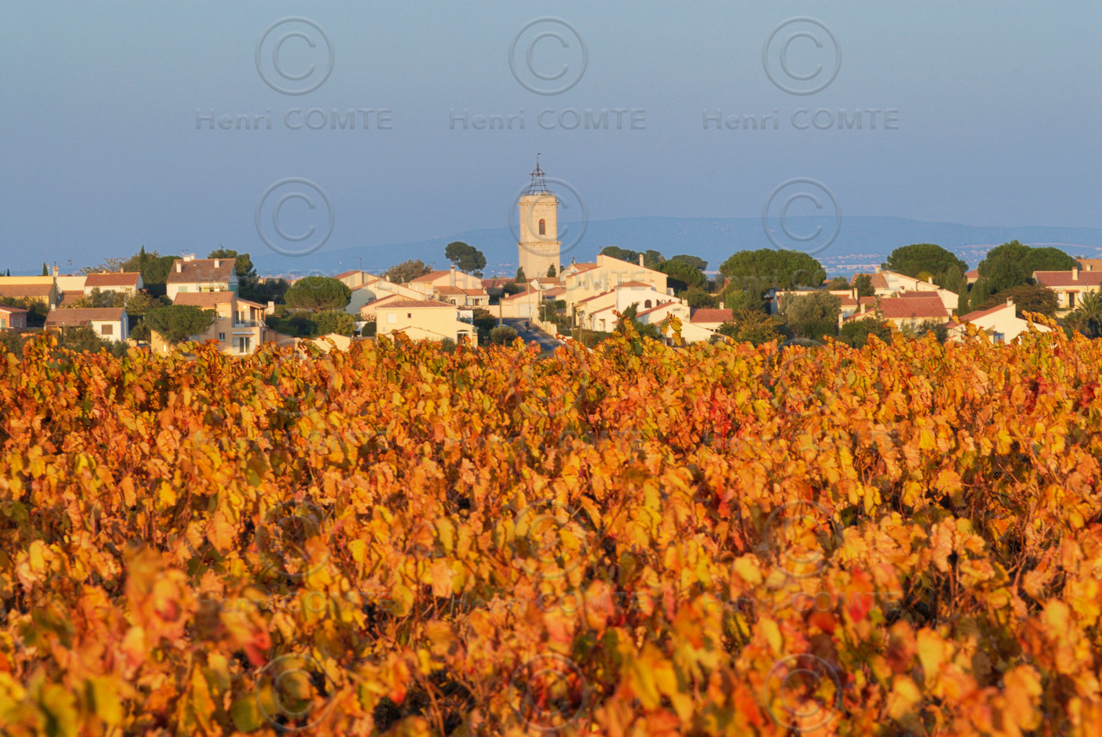 Marseillan