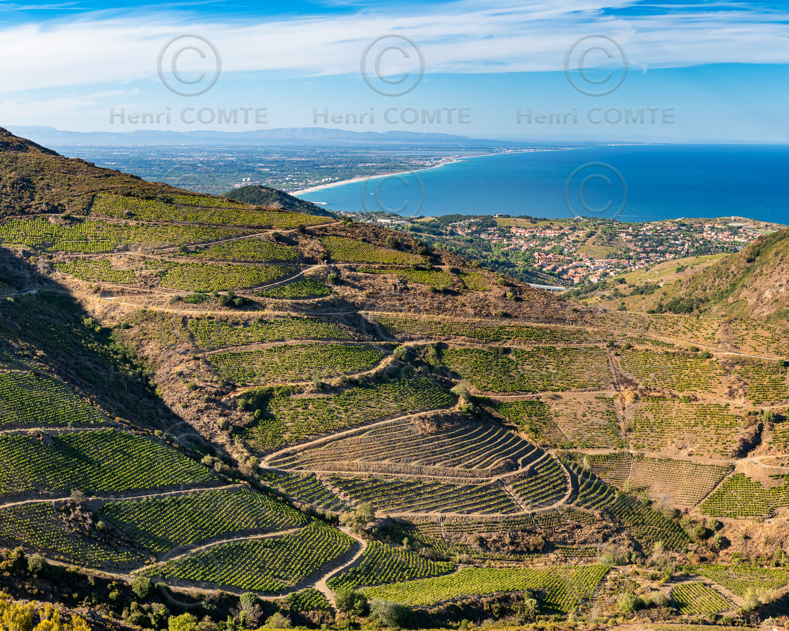 Vignoble Collioure