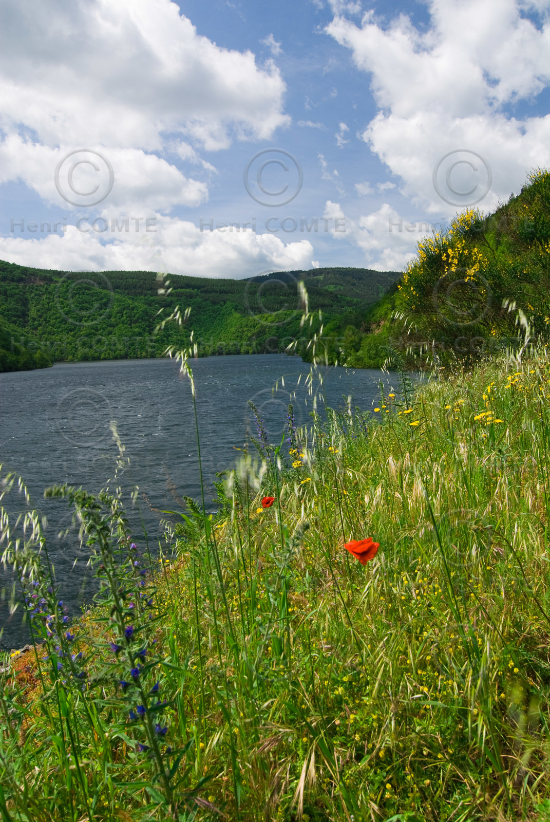 Lac d'Avène