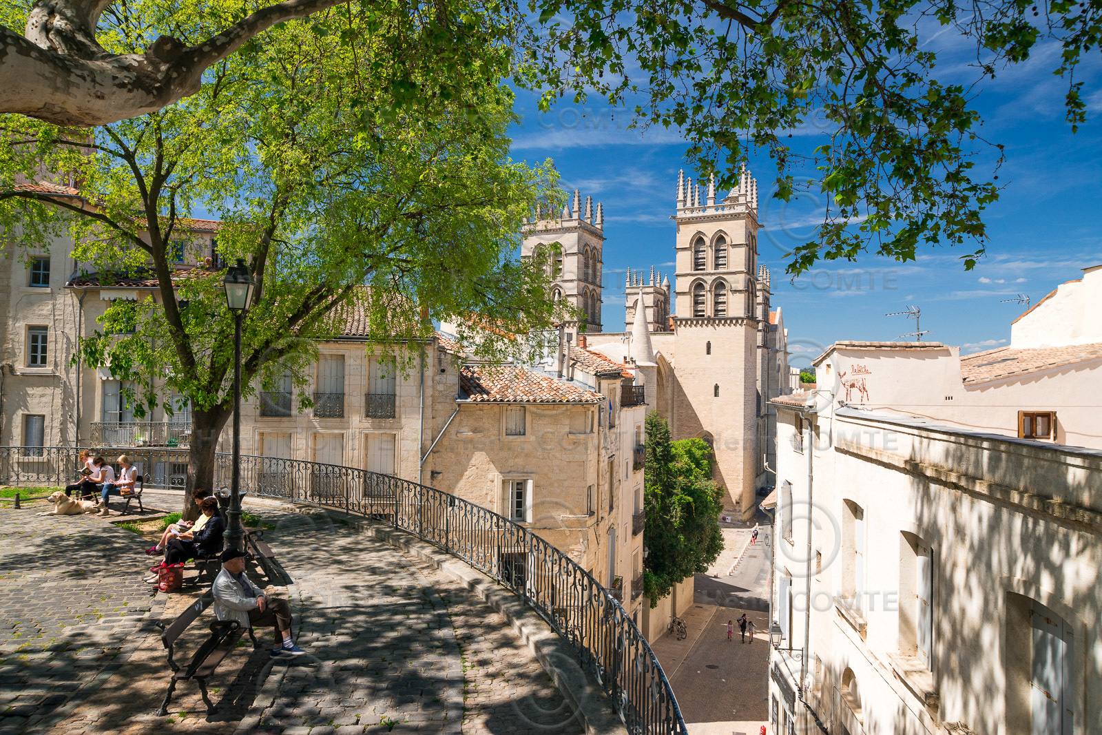 Montpellier