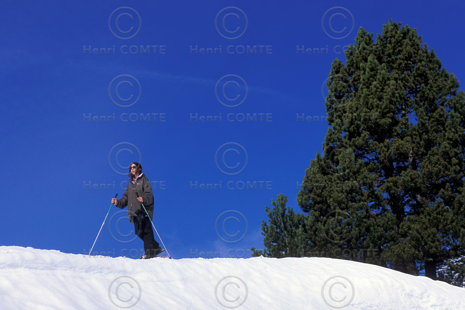Sport d'hiver