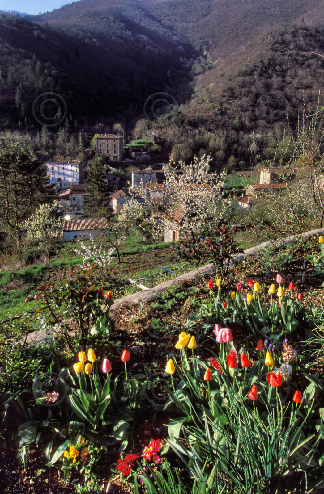 Valleraugue