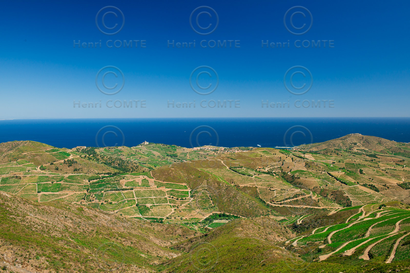 Vignoble du Roussillon