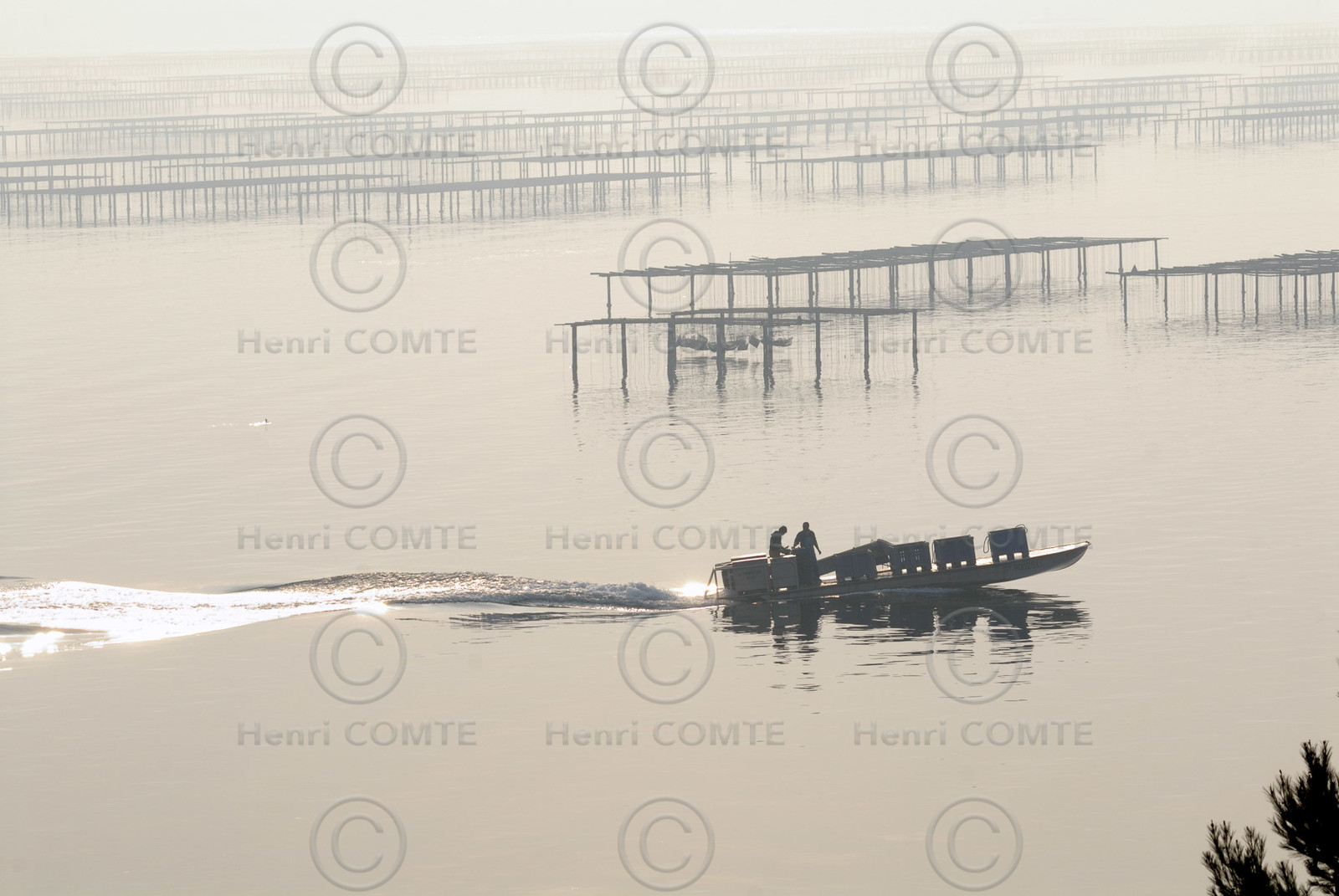 Bassin de Thau