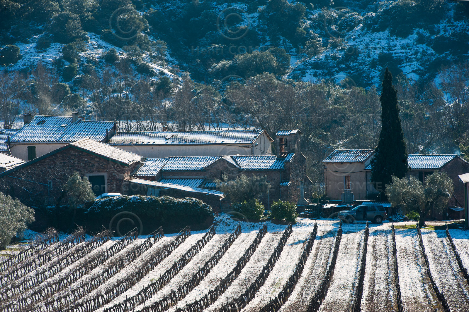 Vignoble du Salagou