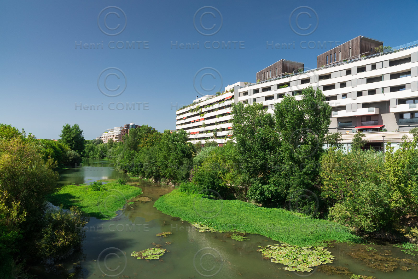 Montpellier