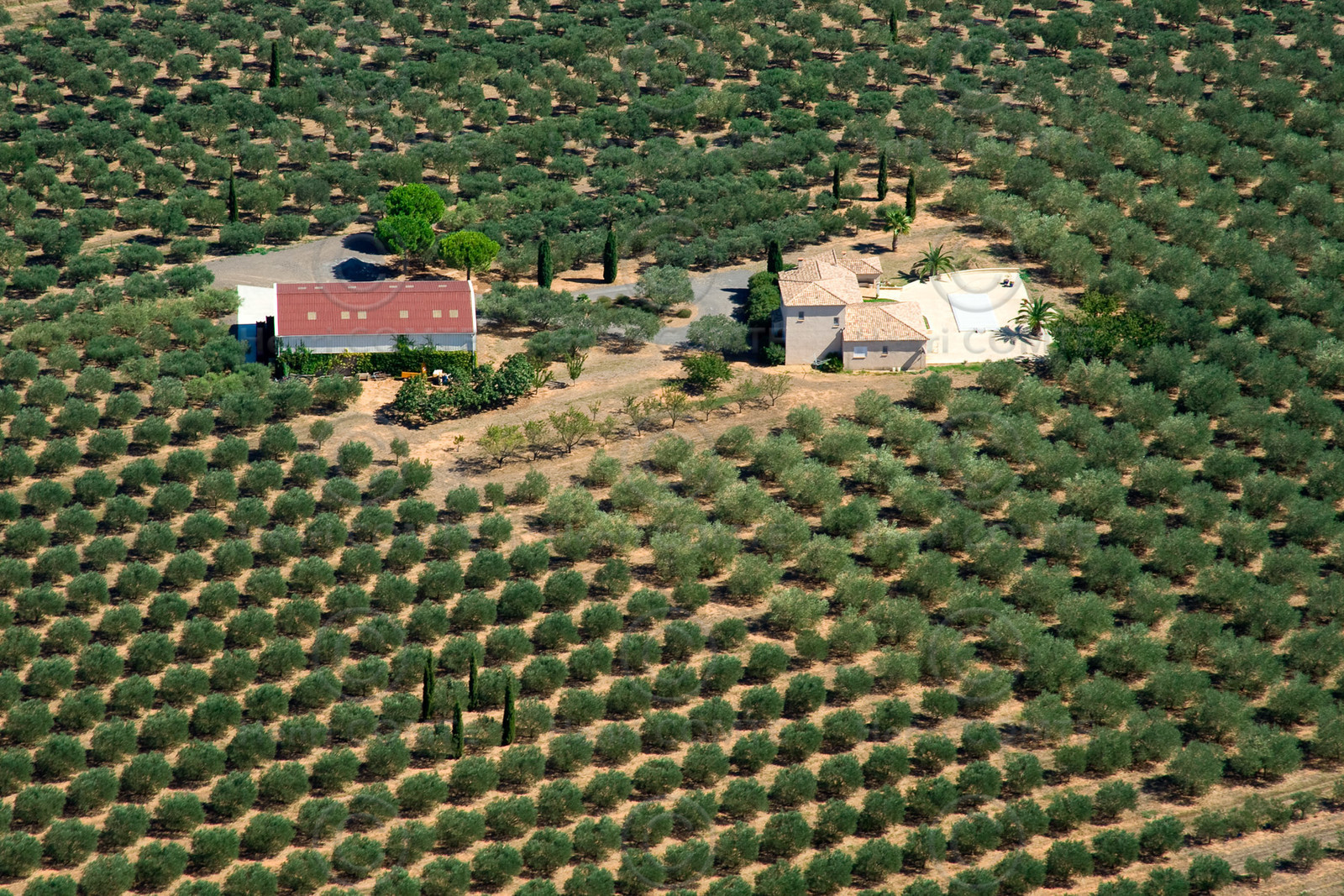 Domaine agricole