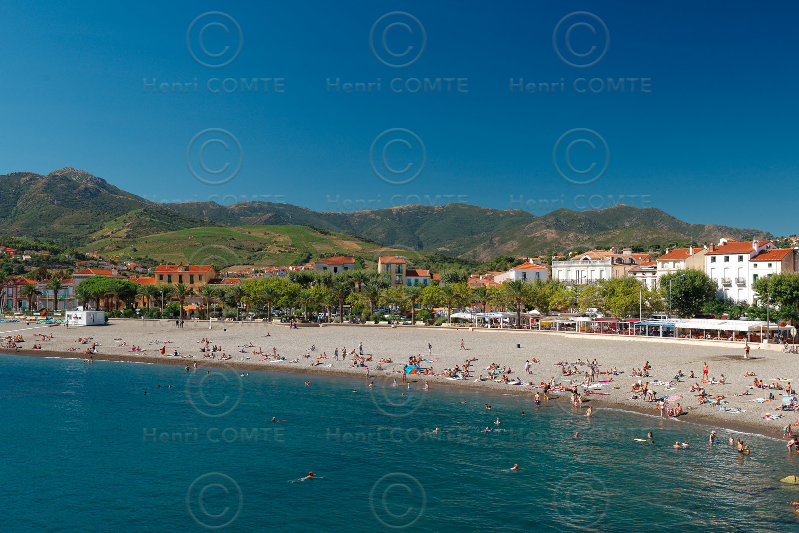 Banyuls