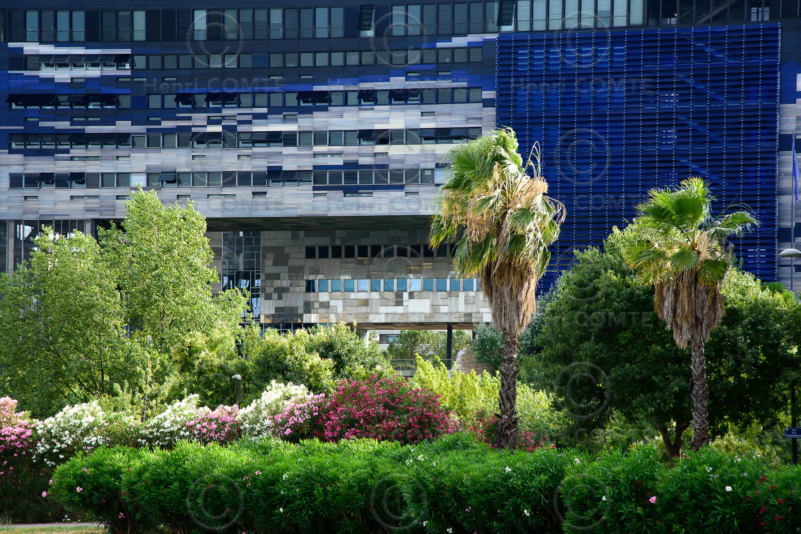 Montpellier