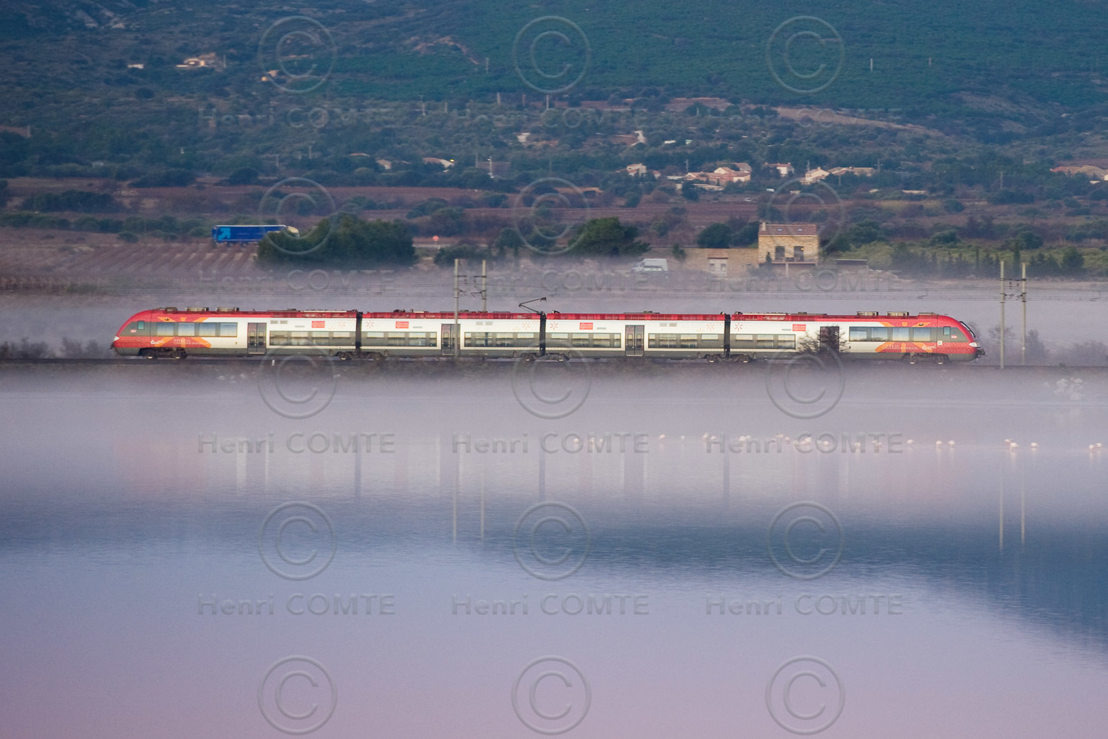 Train TER