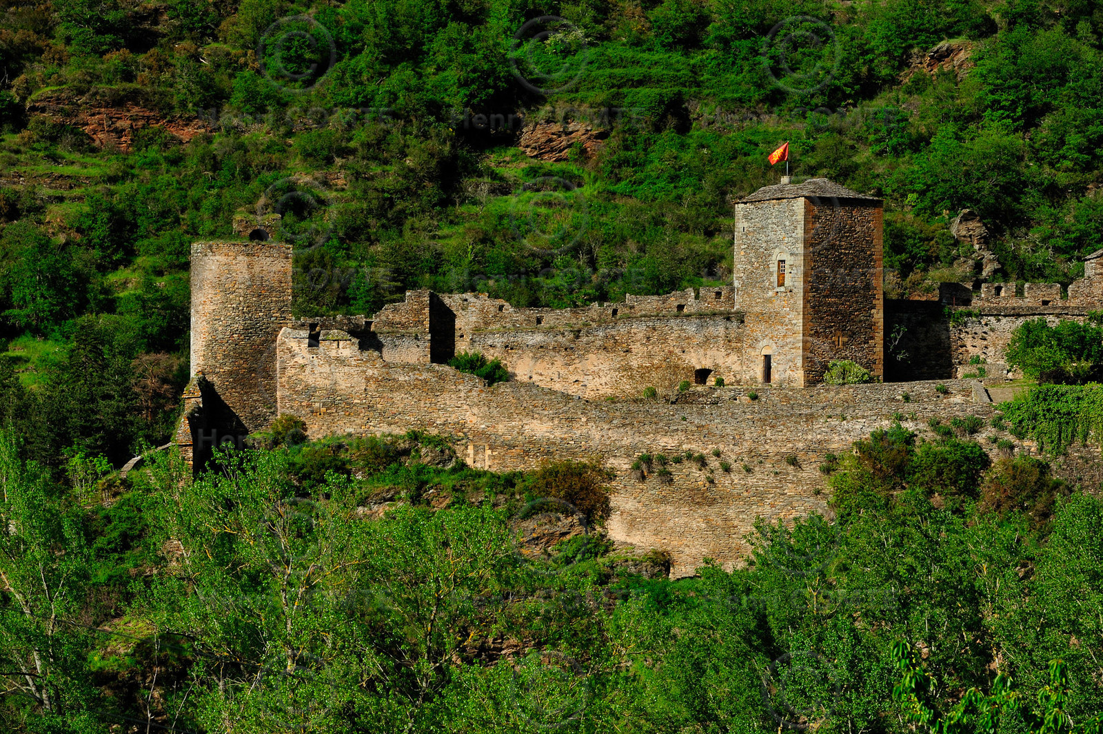Brousse le Chateau