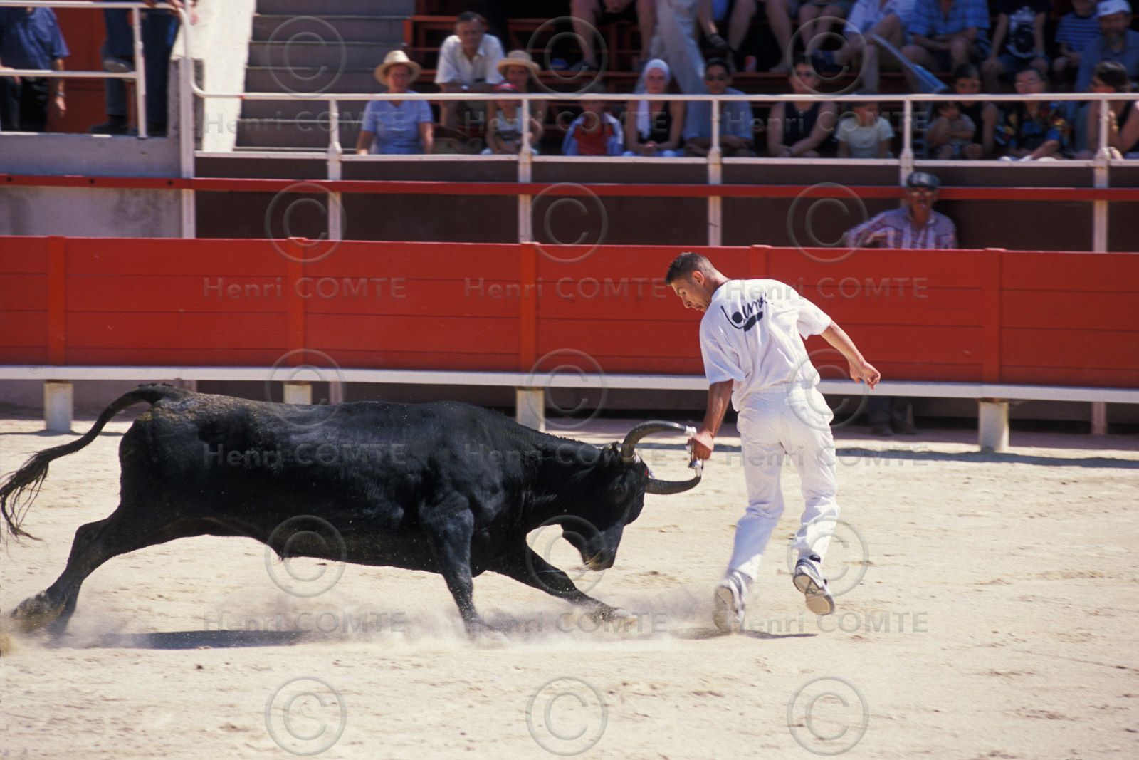 Course camarguaise