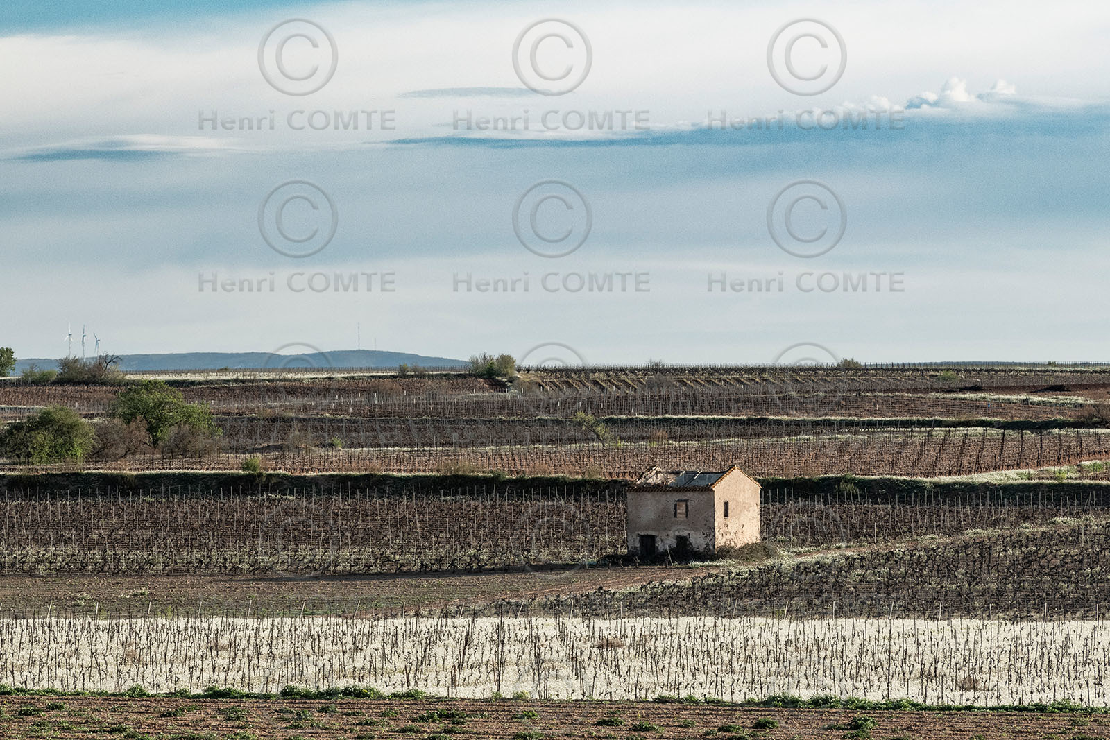 Vignes et mazet