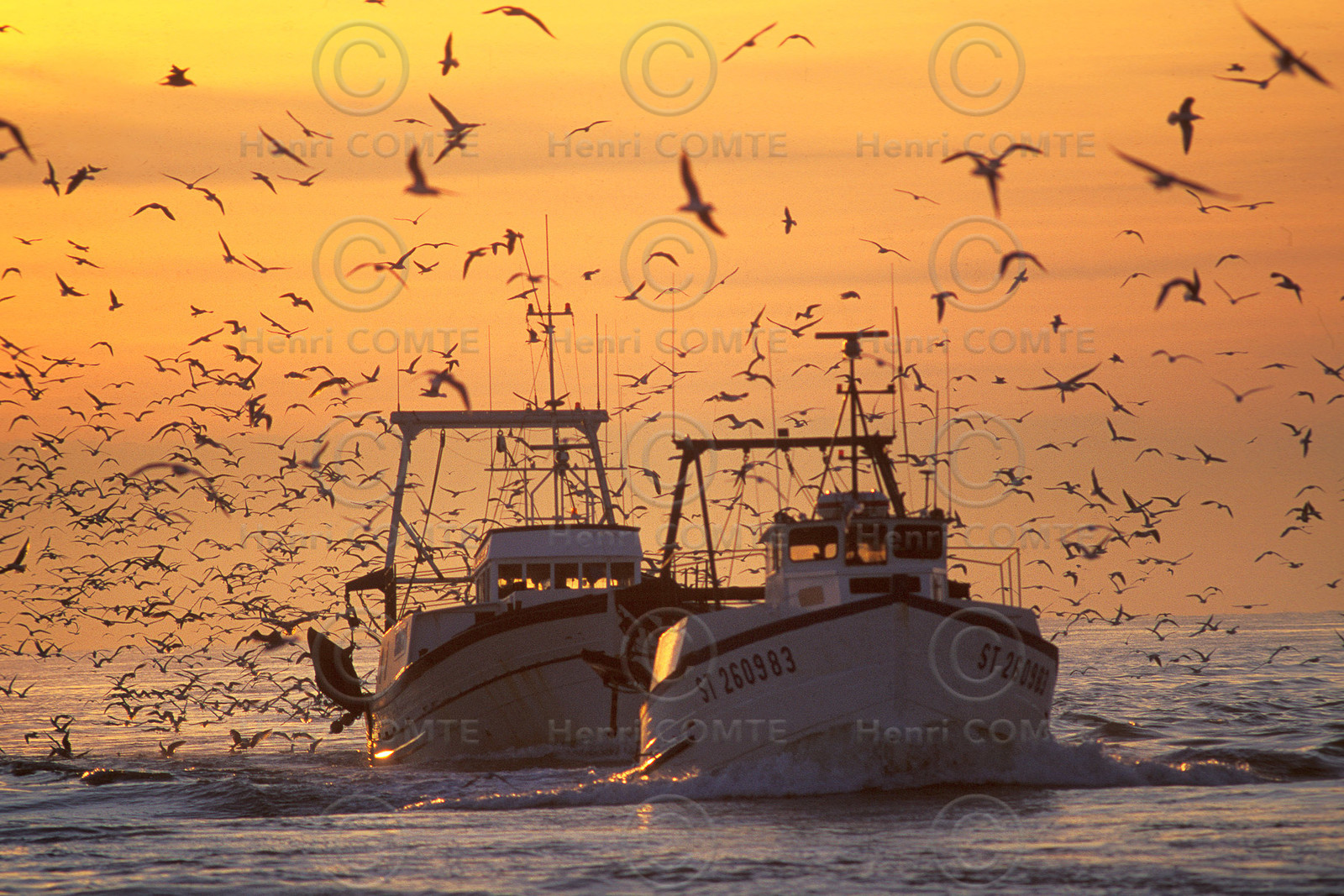 Retour de pêche